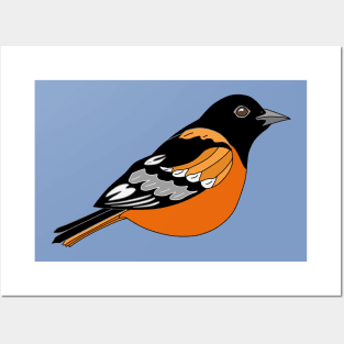 Orange and Black Baltimore Oriole Bird Posters and Art